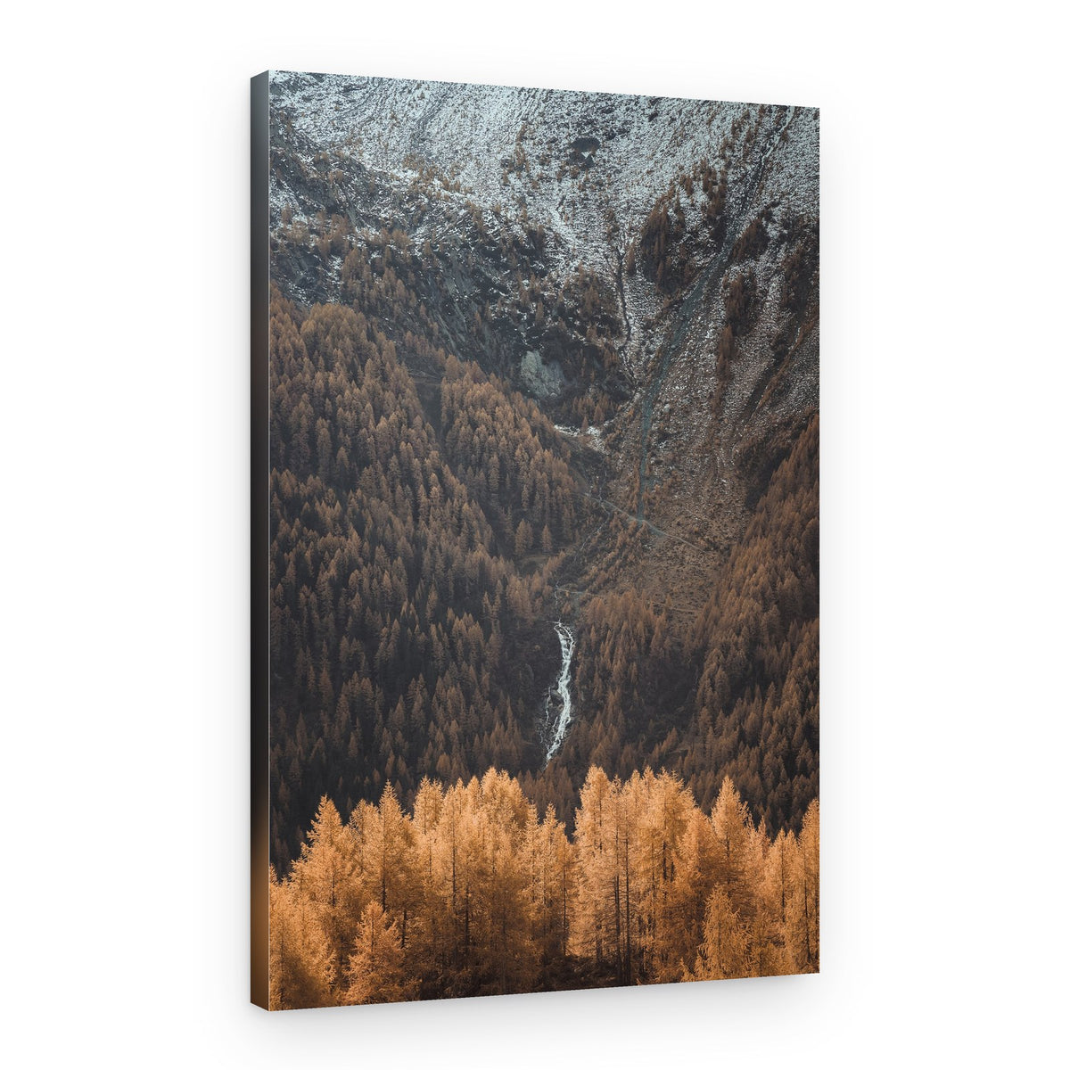 Golden Alpine Forest – Canvas Print