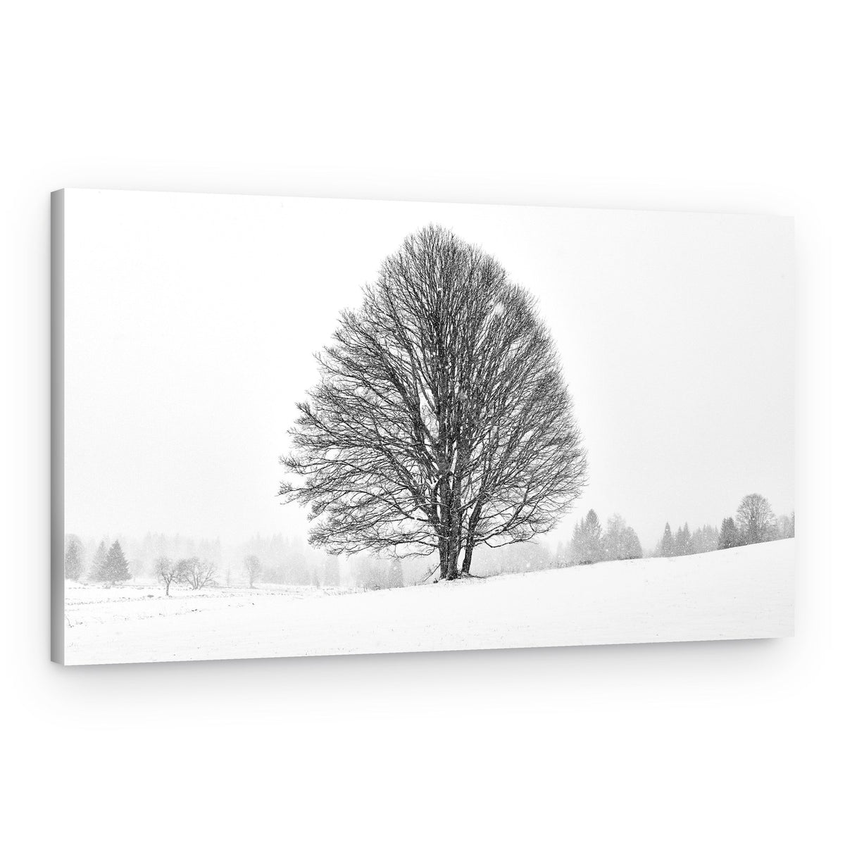 Solitary Winter Tree – Canvas Print