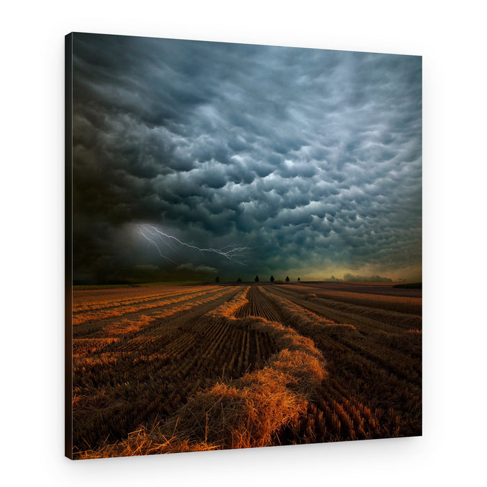 Lightning Strikes Golden Field – Canvas Print
