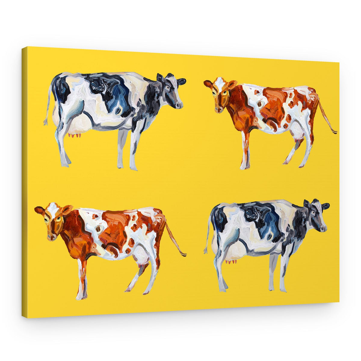 Spotted Farm Cows – Canvas Print