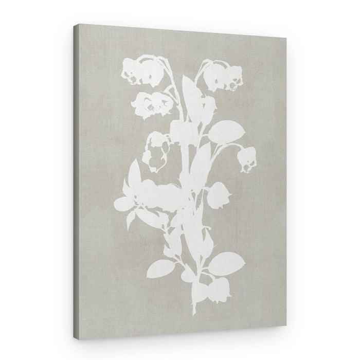 White Botanical Blooms – Canvas Print