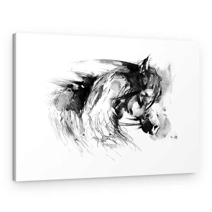 Wild Horse Sketch – Canvas Print