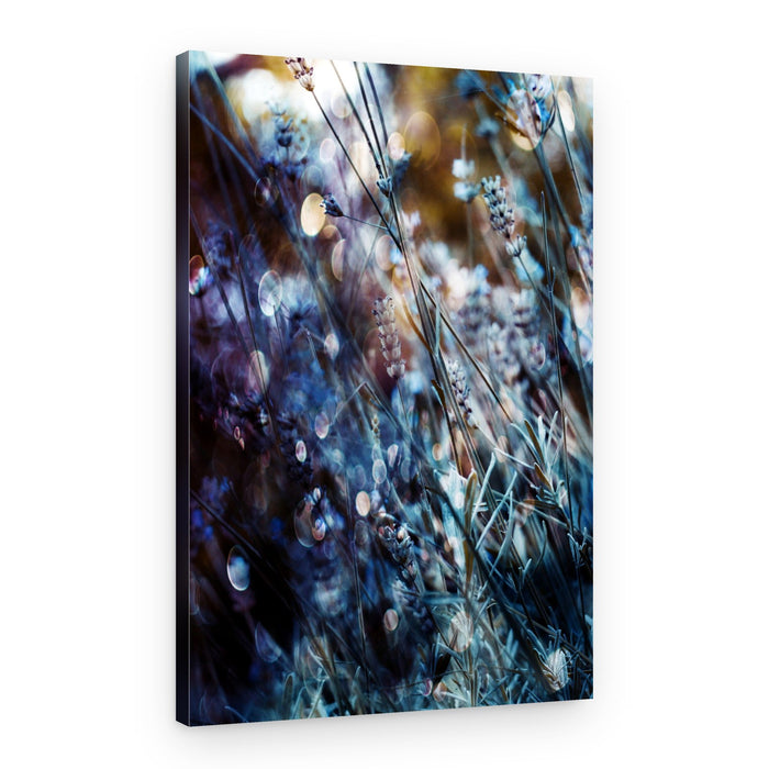 Dreamy Lavender Glow – Canvas Print