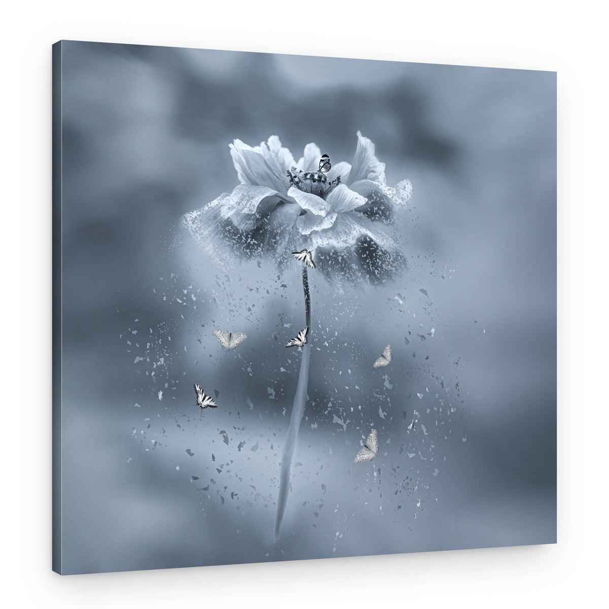 Fading Butterfly Flower – Canvas Print