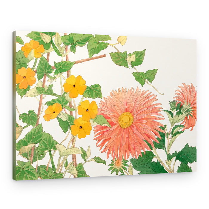 Thunbergia & Aster Flower No2 – Canvas Print