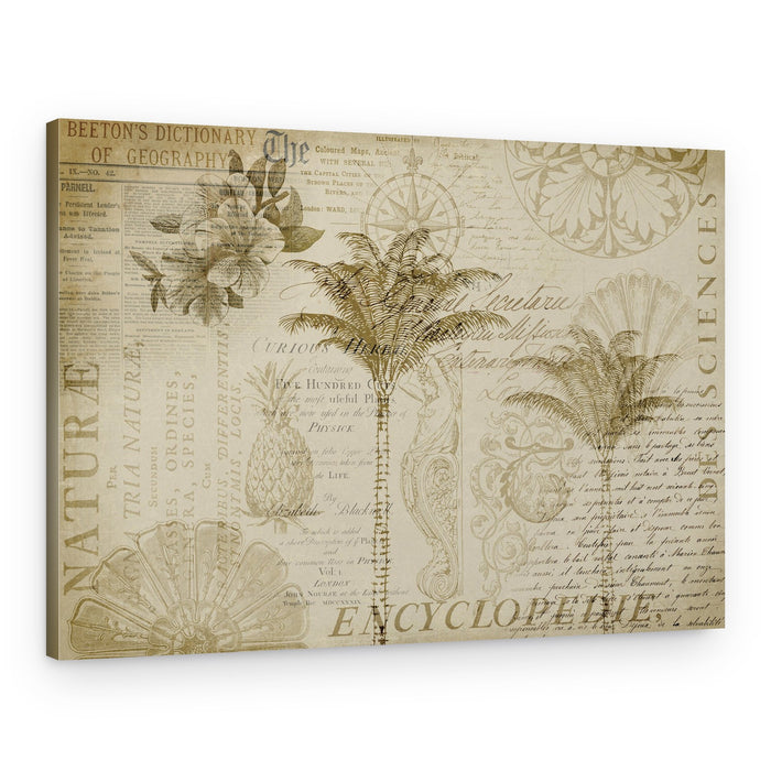 Tropical Botanical Exploration – Canvas Print