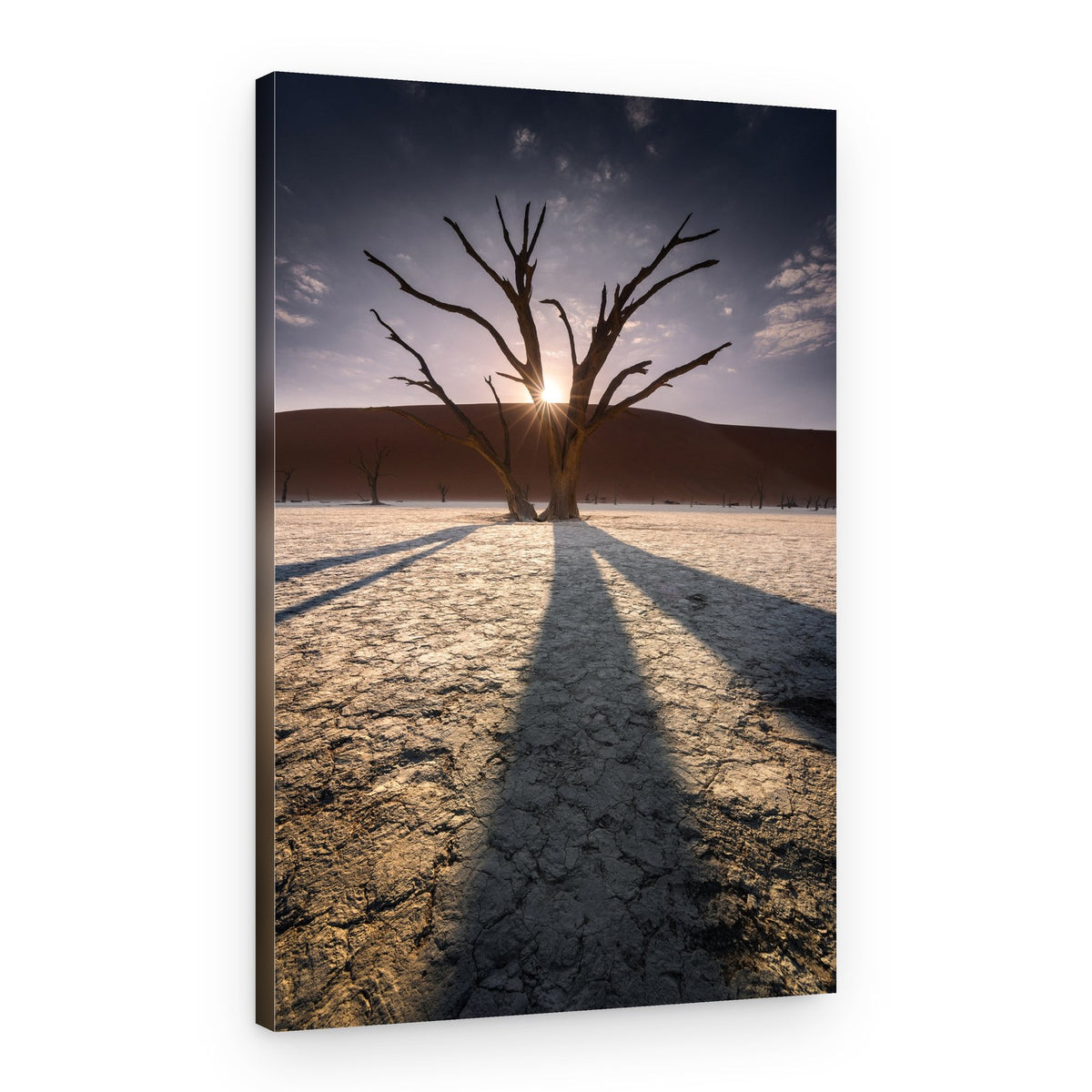 Desert Morning Sunburst – Canvas Print