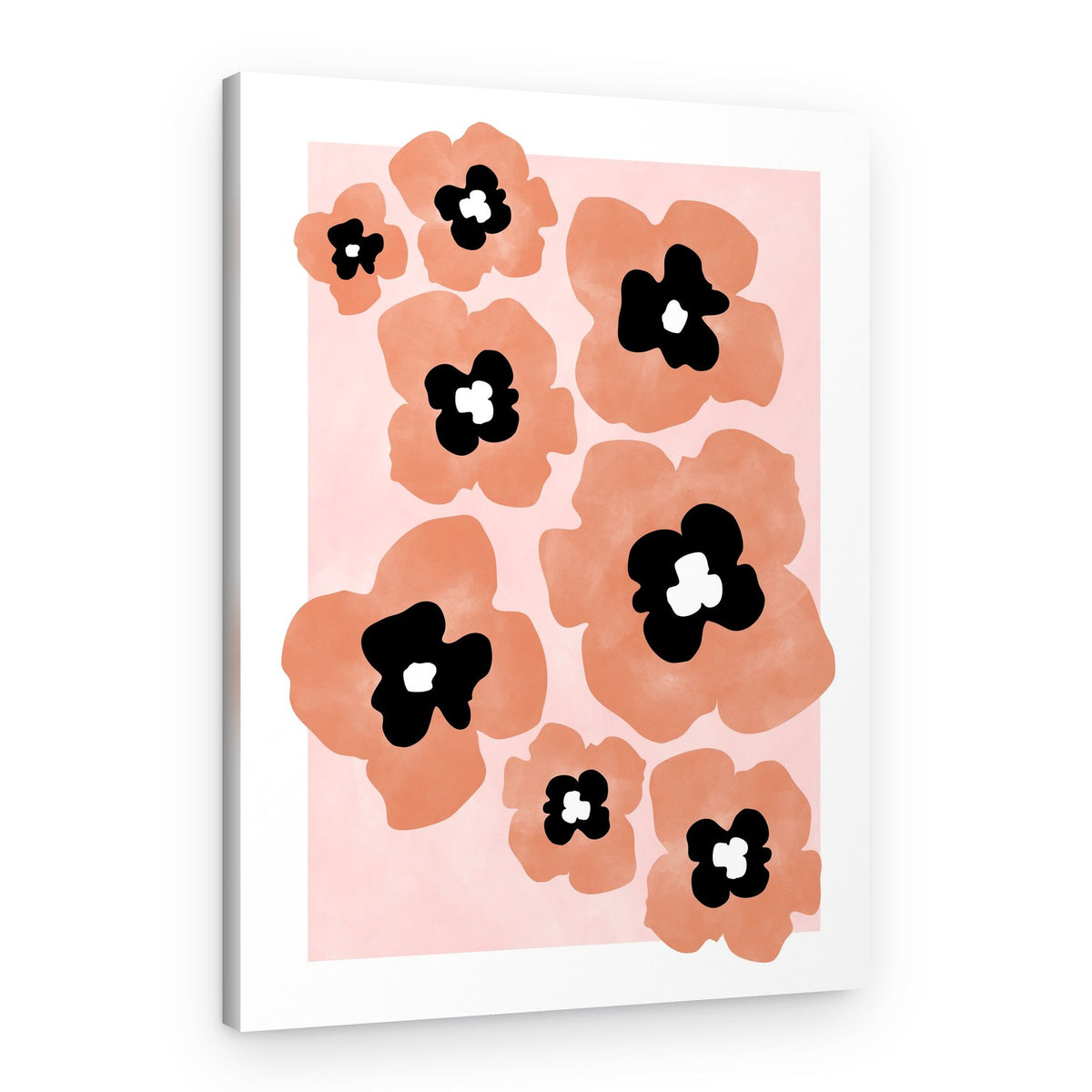 Soft Coral Poppies – Canvas Print