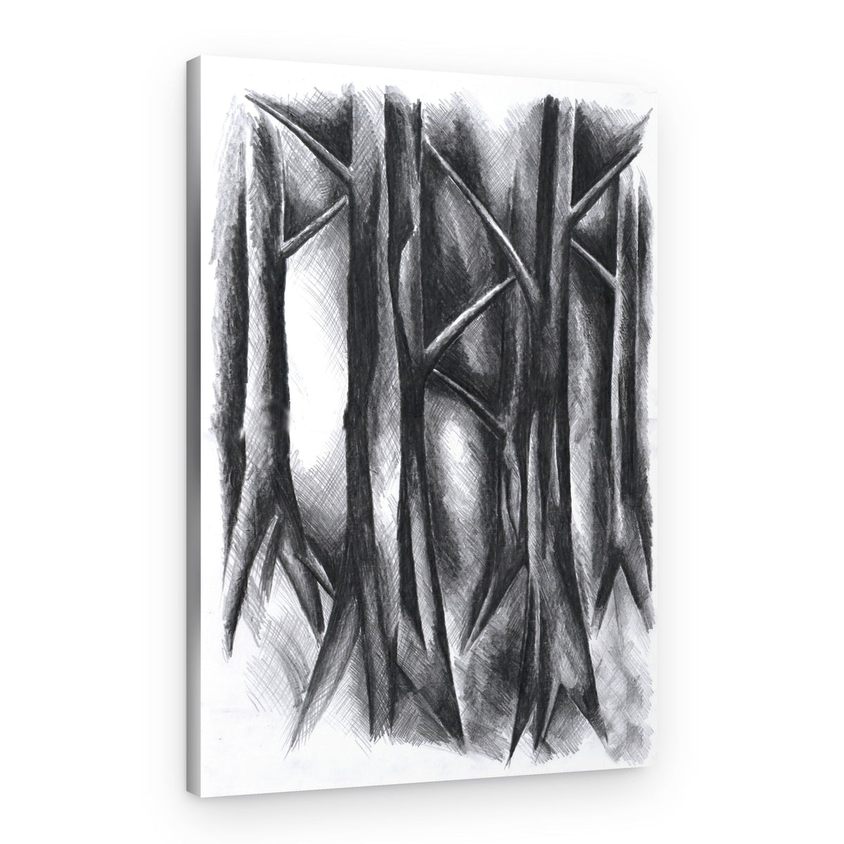 Dark Mysterious Forest – Canvas Print
