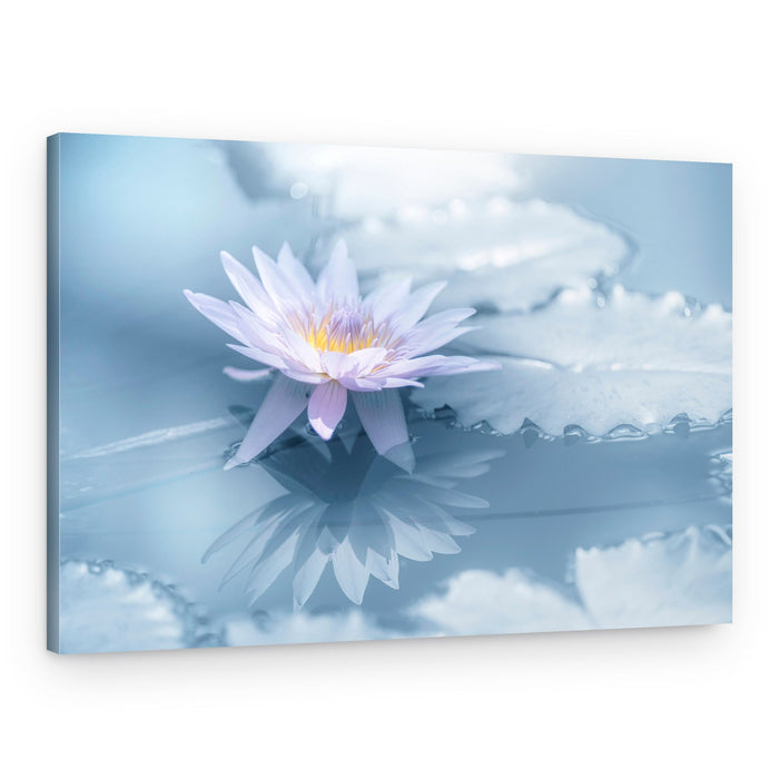 Serene Lotus Reflection – Canvas Print
