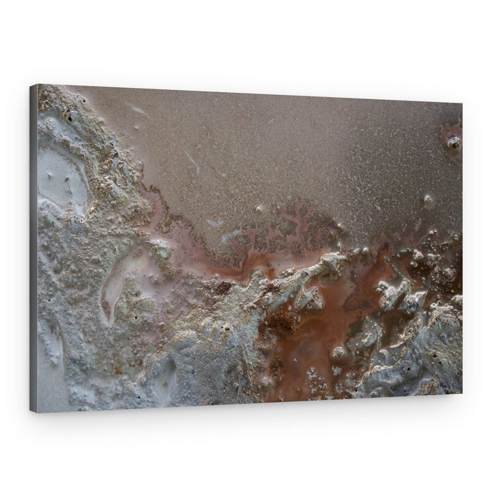 Resilience – Canvas Print