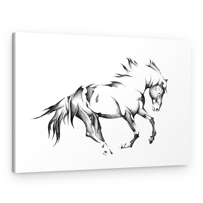 Galloping Horse Sketch – Canvas Print