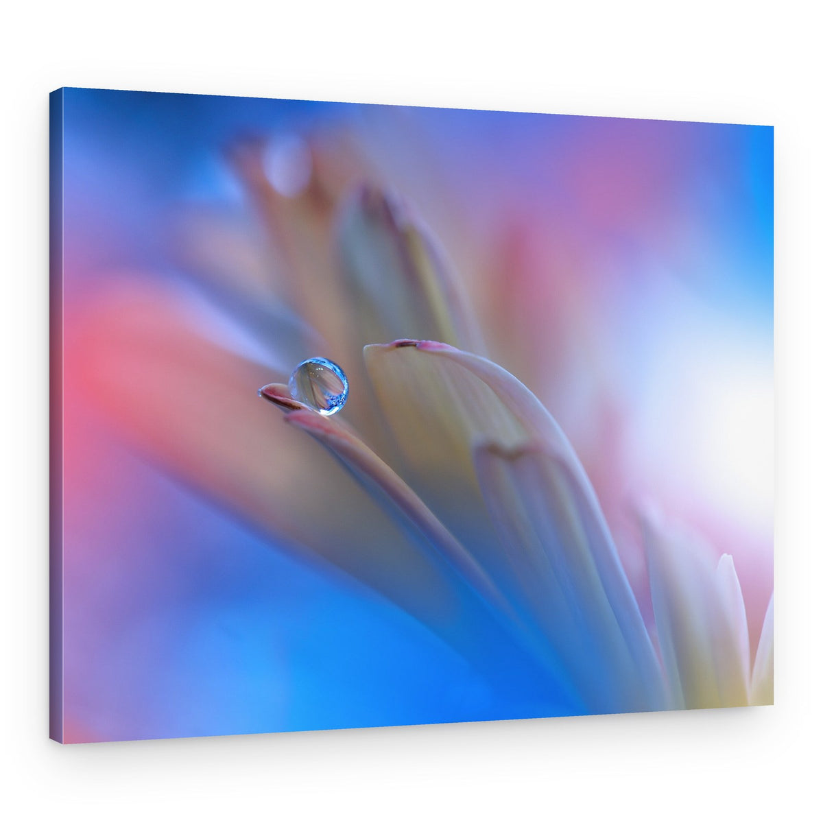 Delicate Water Drop – Canvas Print