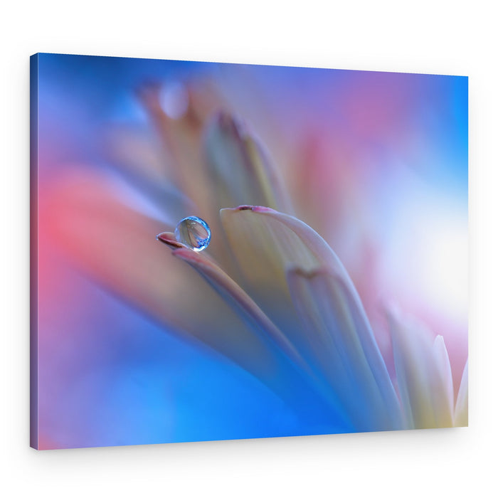 Delicate Water Drop – Canvas Print