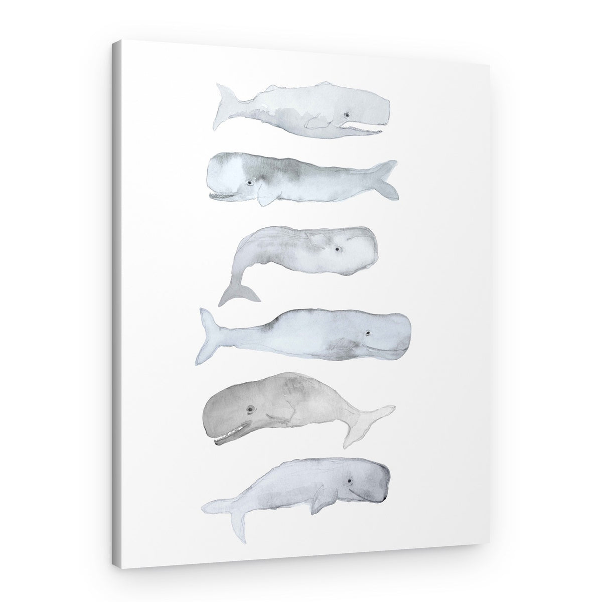 Watercolor Sperm Whales – Canvas Print