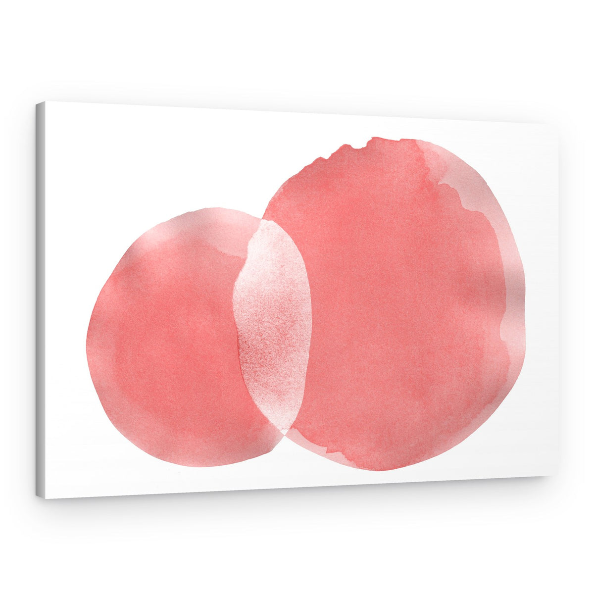 Soft Coral Shapes – Canvas Print