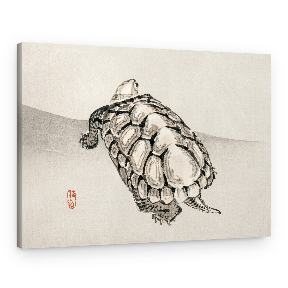 Turtle – Canvas Print