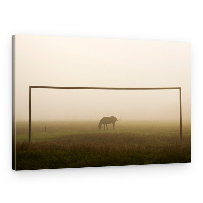 Misty Morning Horse Goal – Canvas Print