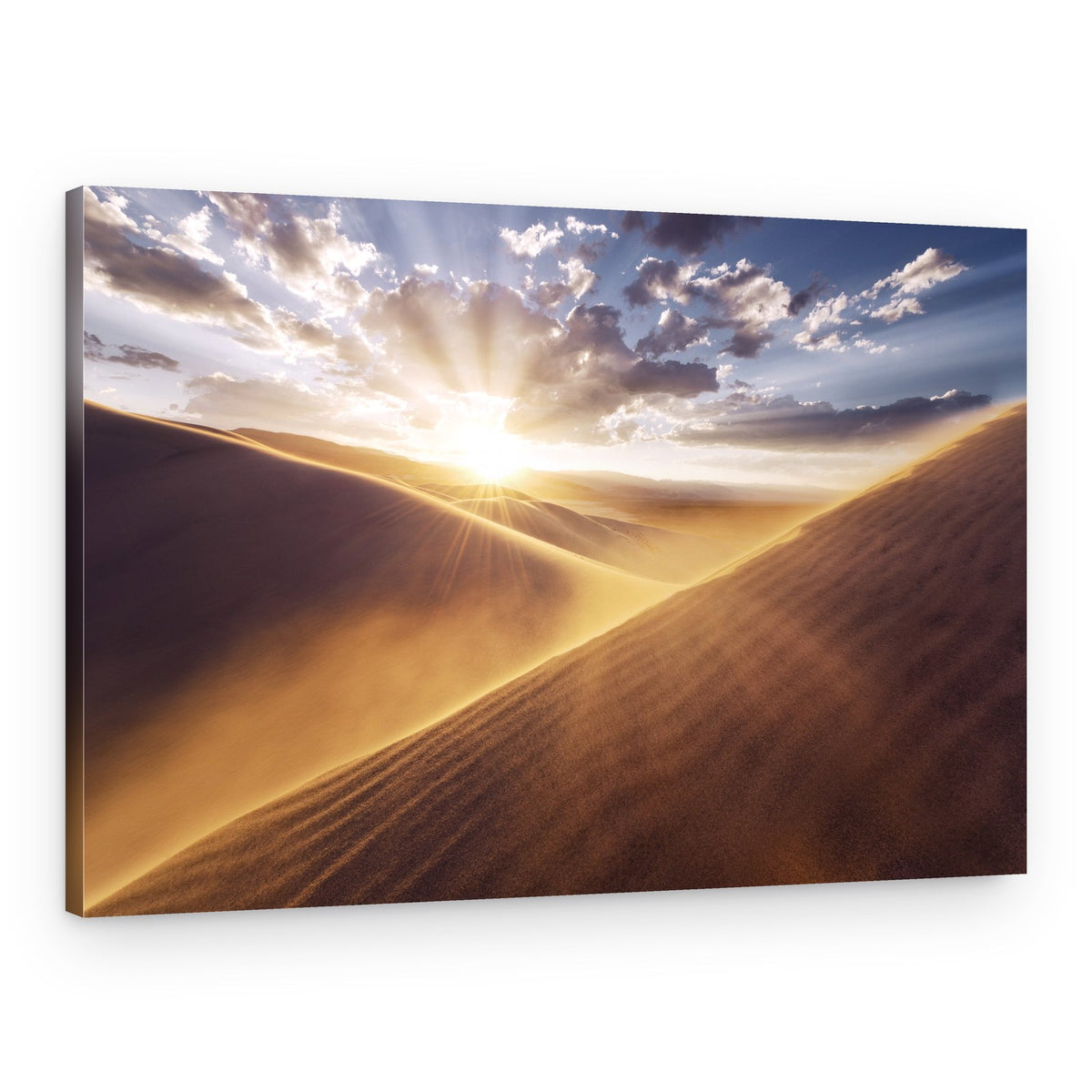 Gently Touched – Canvas Print