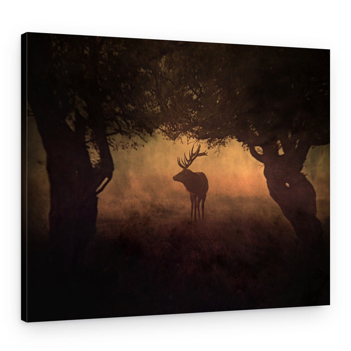 Enchanted Forest Stag – Canvas Print