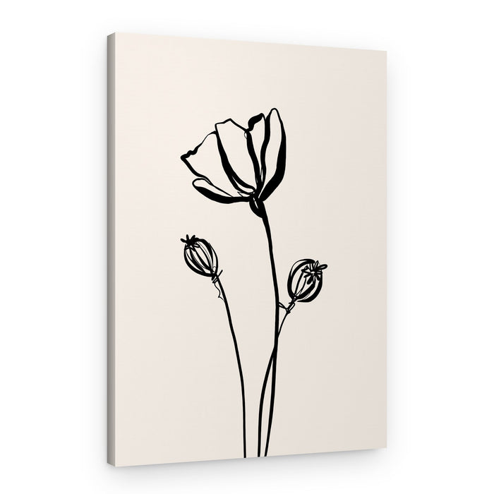 Delicate Poppy Sketch – Canvas Print