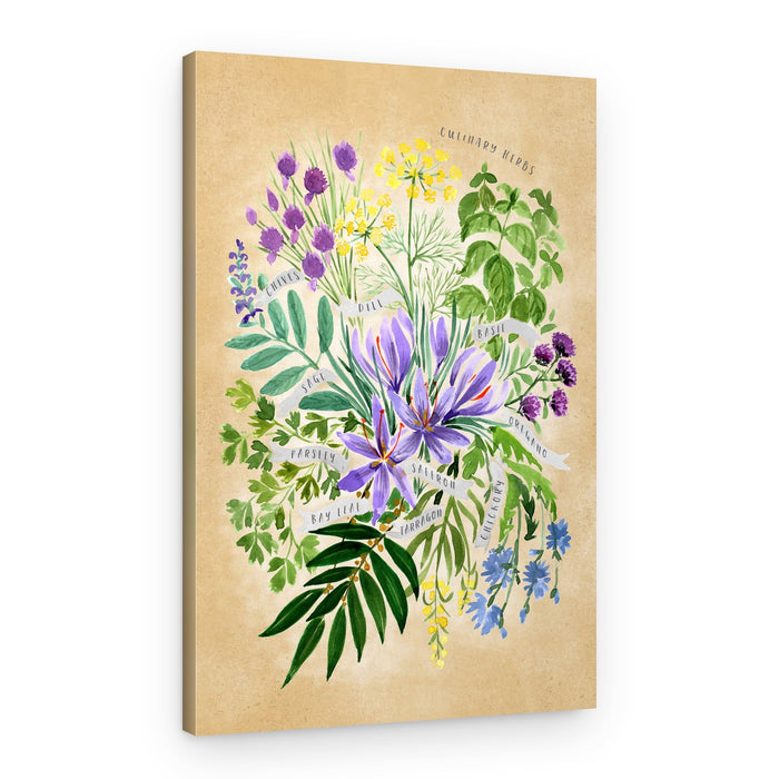 Culinary Herb Collection – Canvas Print