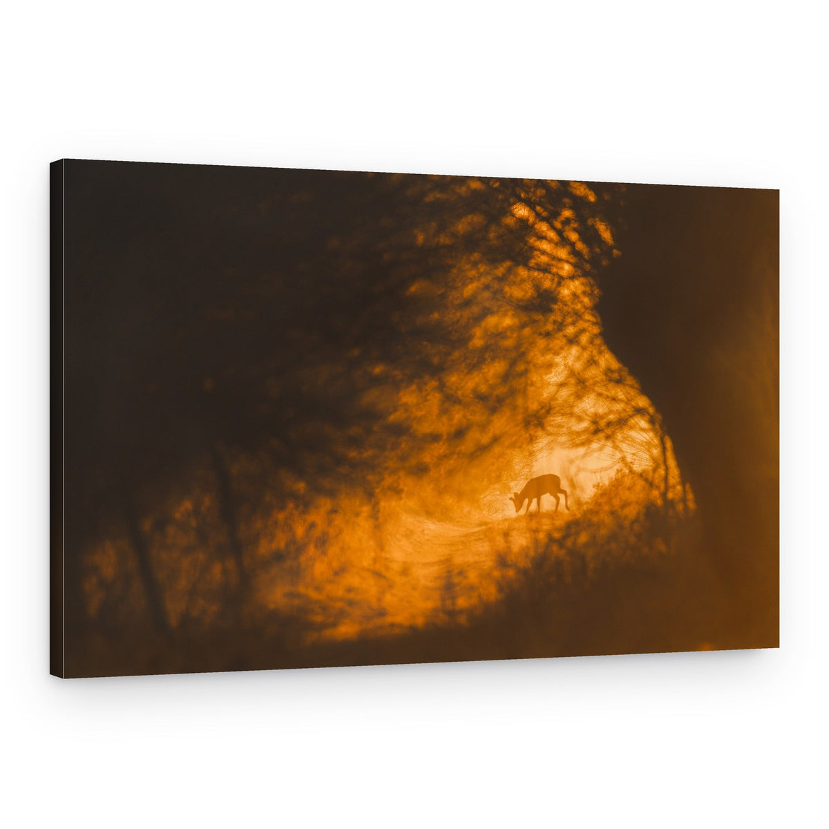 Golden Deer Silhouette – Canvas Print