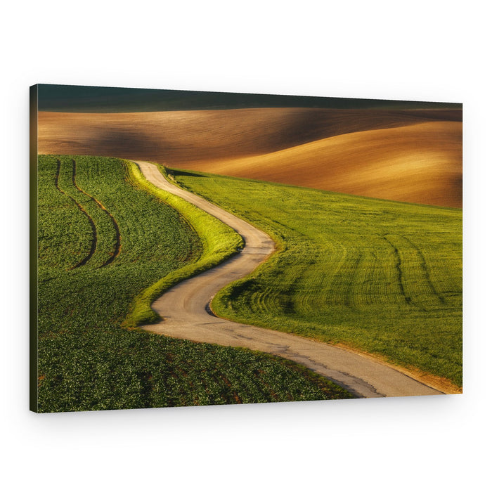 Sunlit Winding Road – Canvas Print