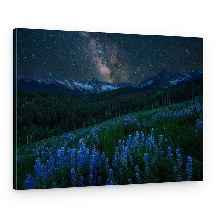 Starry Night Lupine Field – Canvas Print