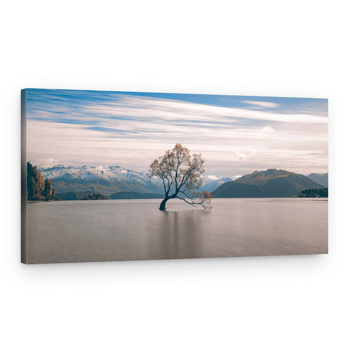 Wanaka Tree Serenity – Canvas Print