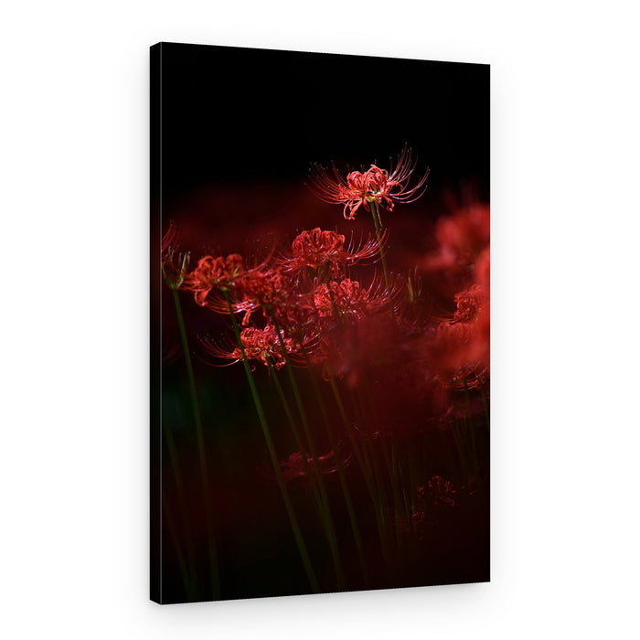 Glowing Red Lilies – Canvas Print