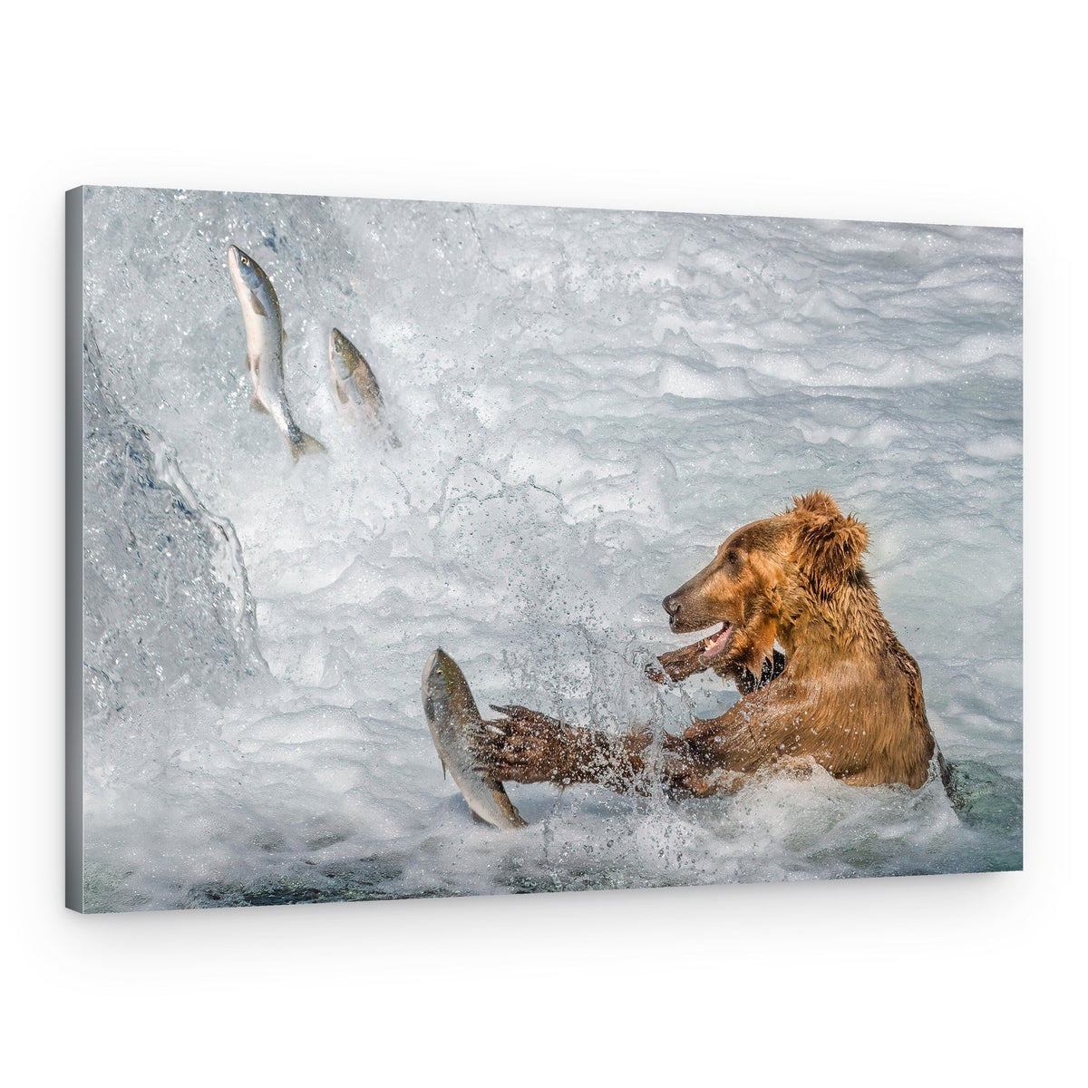 Powerful Bear Salmon Hunt – Canvas Print