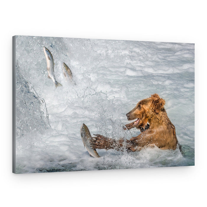 Powerful Bear Salmon Hunt – Canvas Print