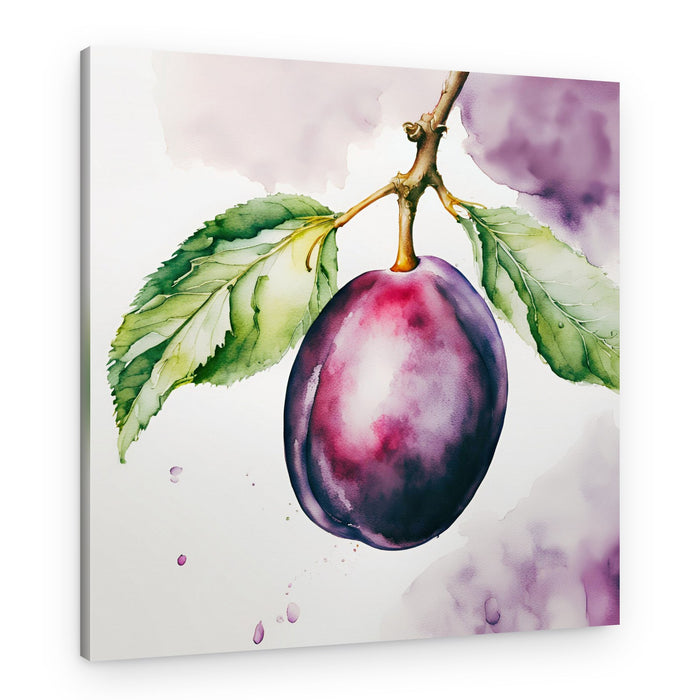 Watercolor Plum – Canvas Print