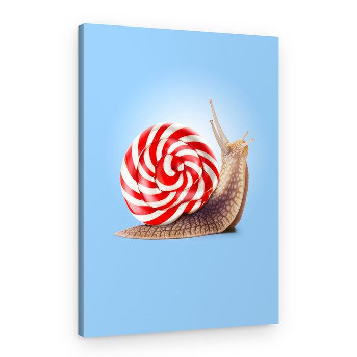 Lollipop Snail – Canvas Print