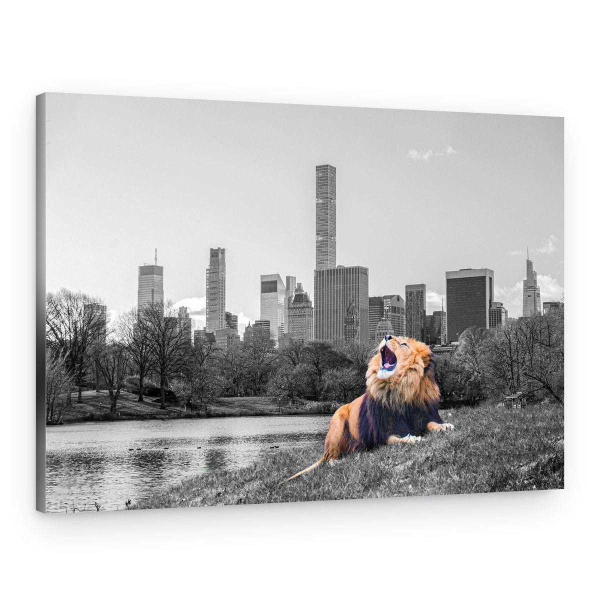 Roaring Lion New York – Canvas Print