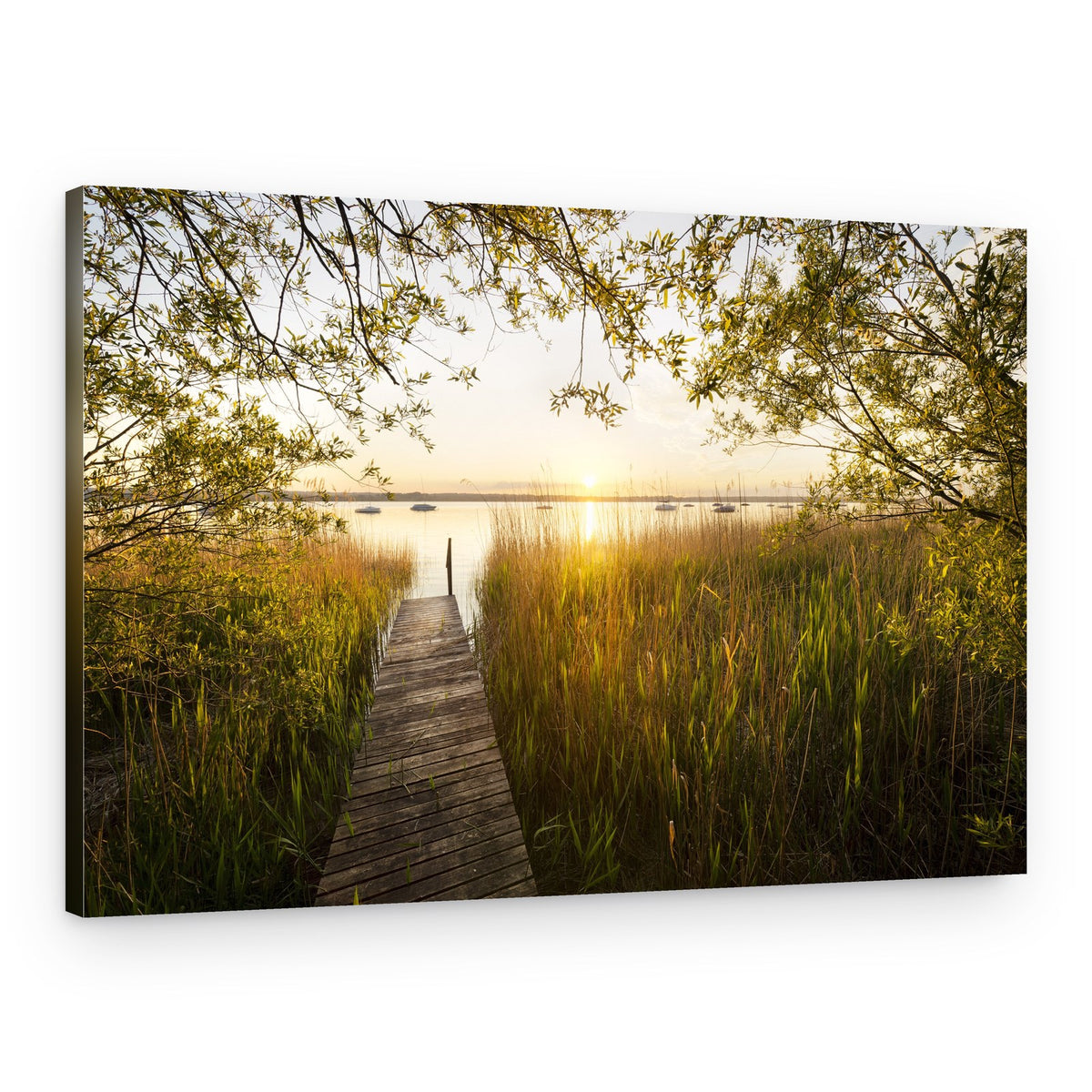 Golden Jetty – Canvas Print