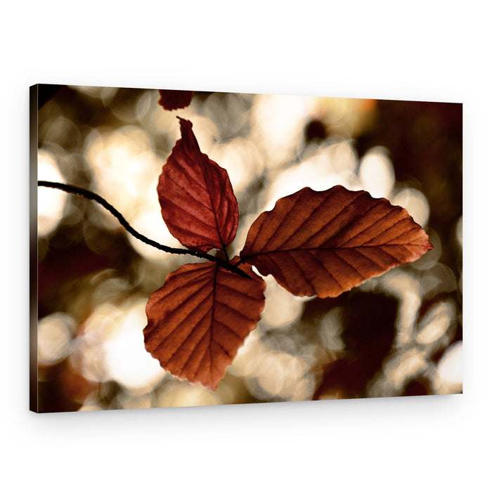 Golden Autumn Leaves – Canvas Print