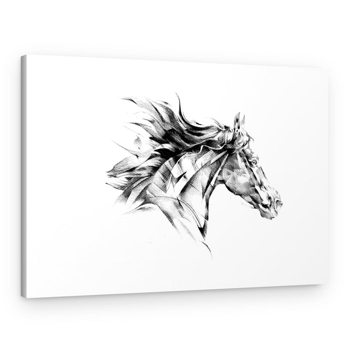 Dynamic Horse Flow – Canvas Print