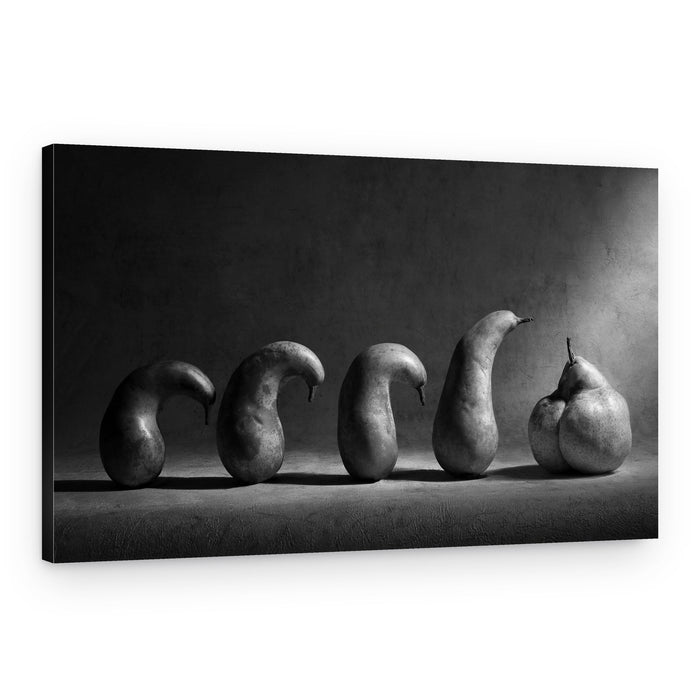 Evolving Pear Shapes – Canvas Print