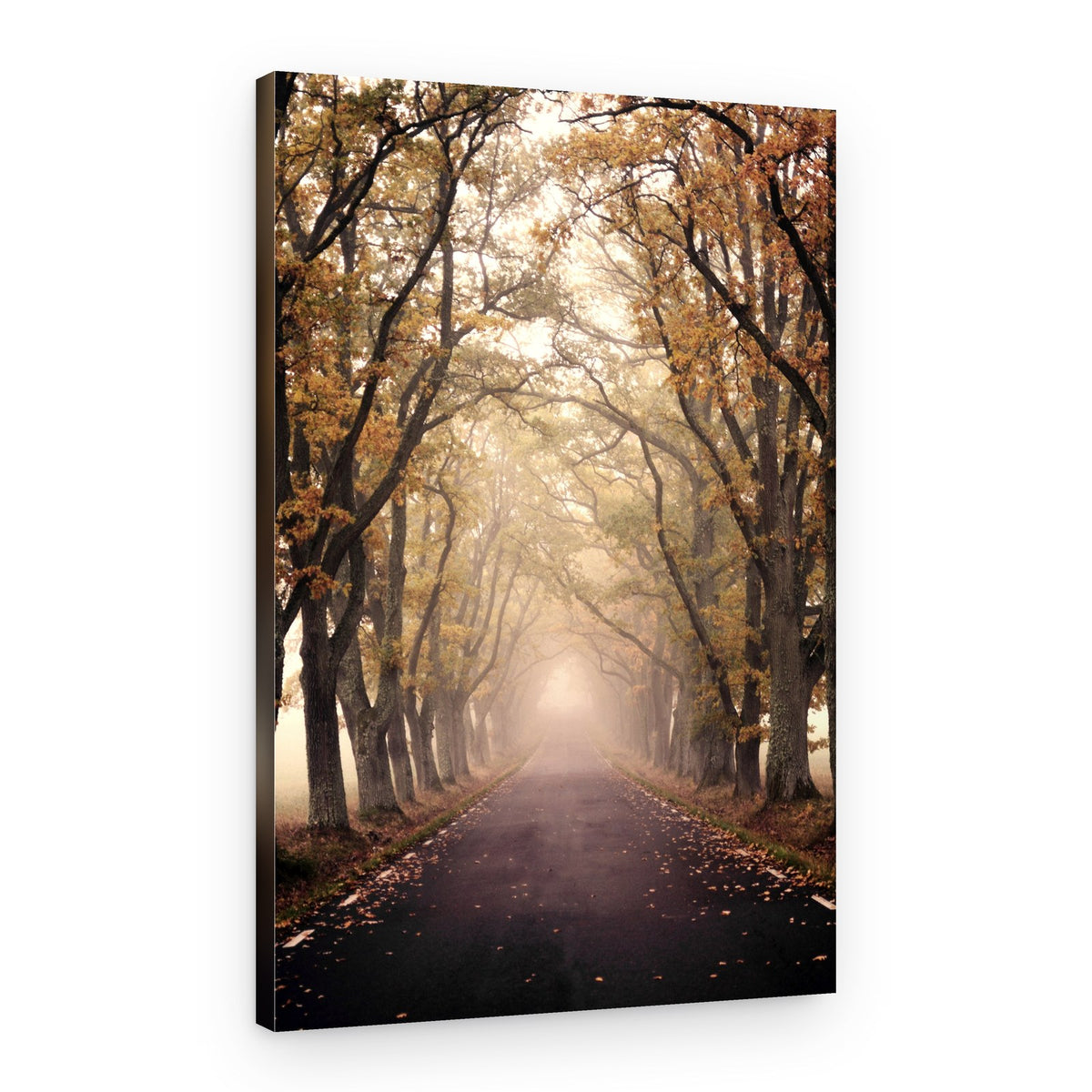 Misty Autumn Road – Canvas Print