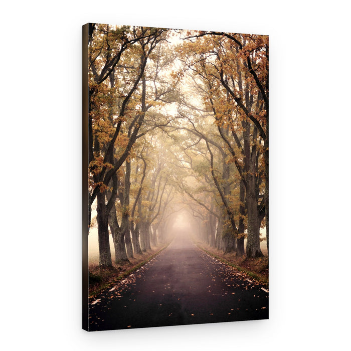 Misty Autumn Road – Canvas Print