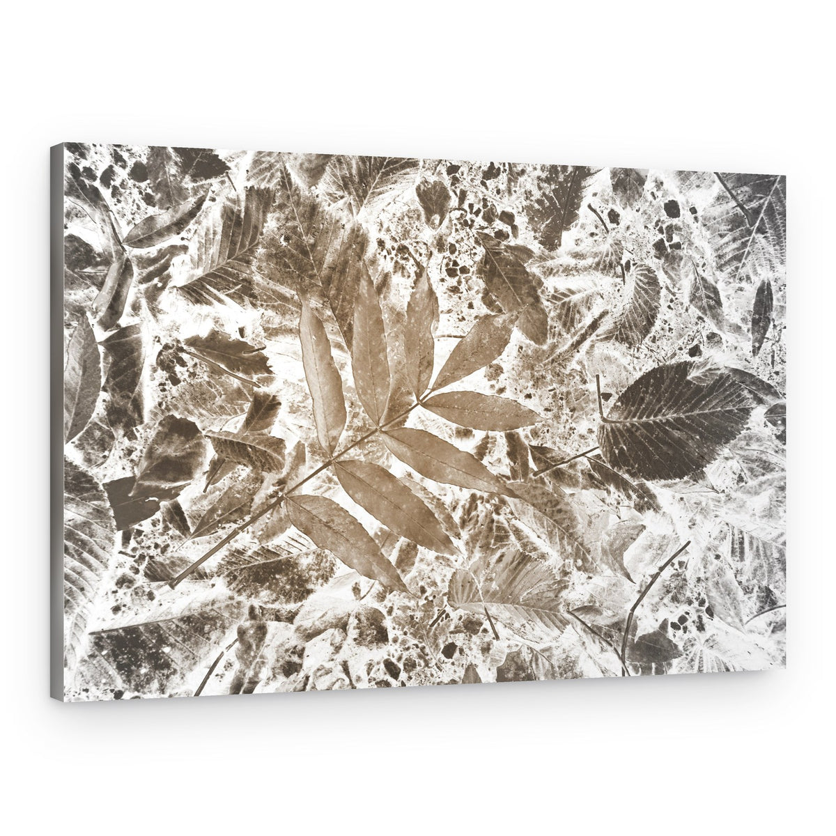 Inverted Leaf Pattern – Canvas Print