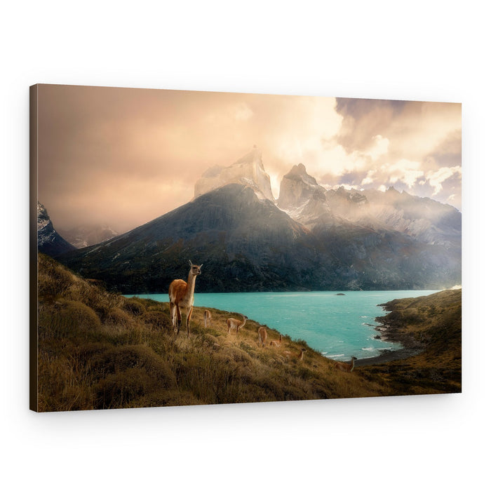 Patagonia Guanaco Peaks – Canvas Print