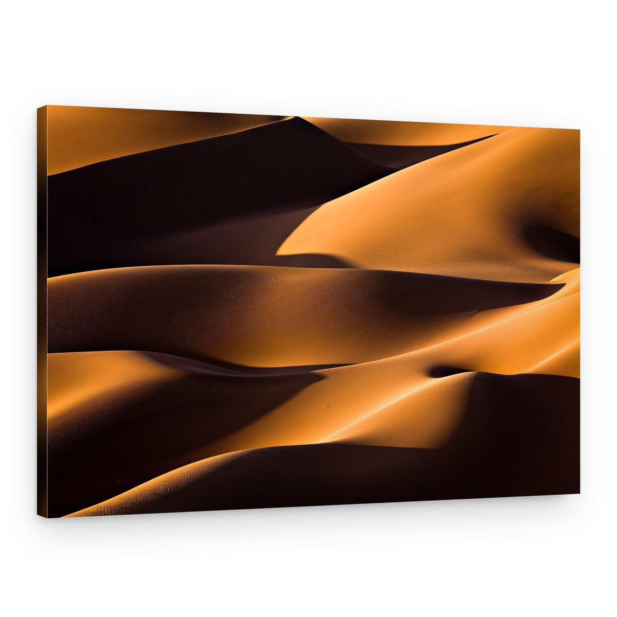 Golden Desert Curves – Canvas Print