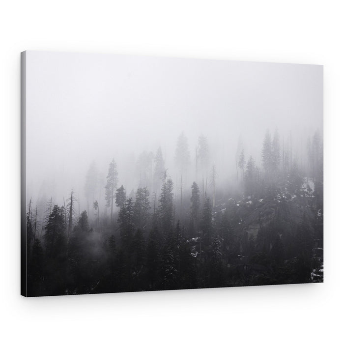 Mysterious Misty Forest – Canvas Print