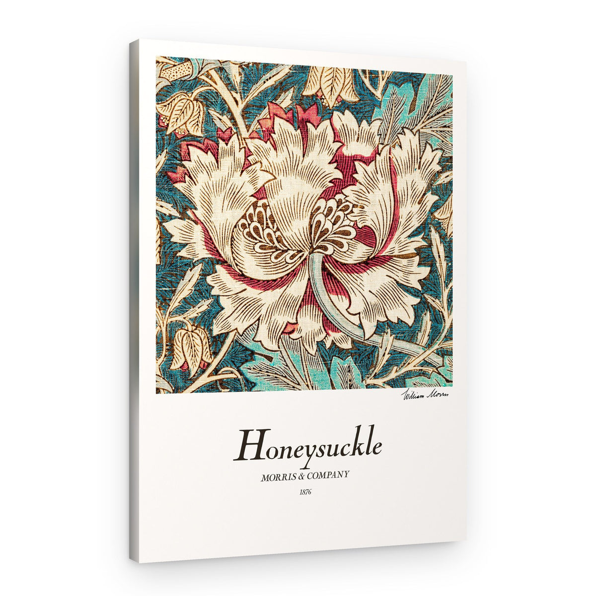 Honeysuckle – Canvas Print