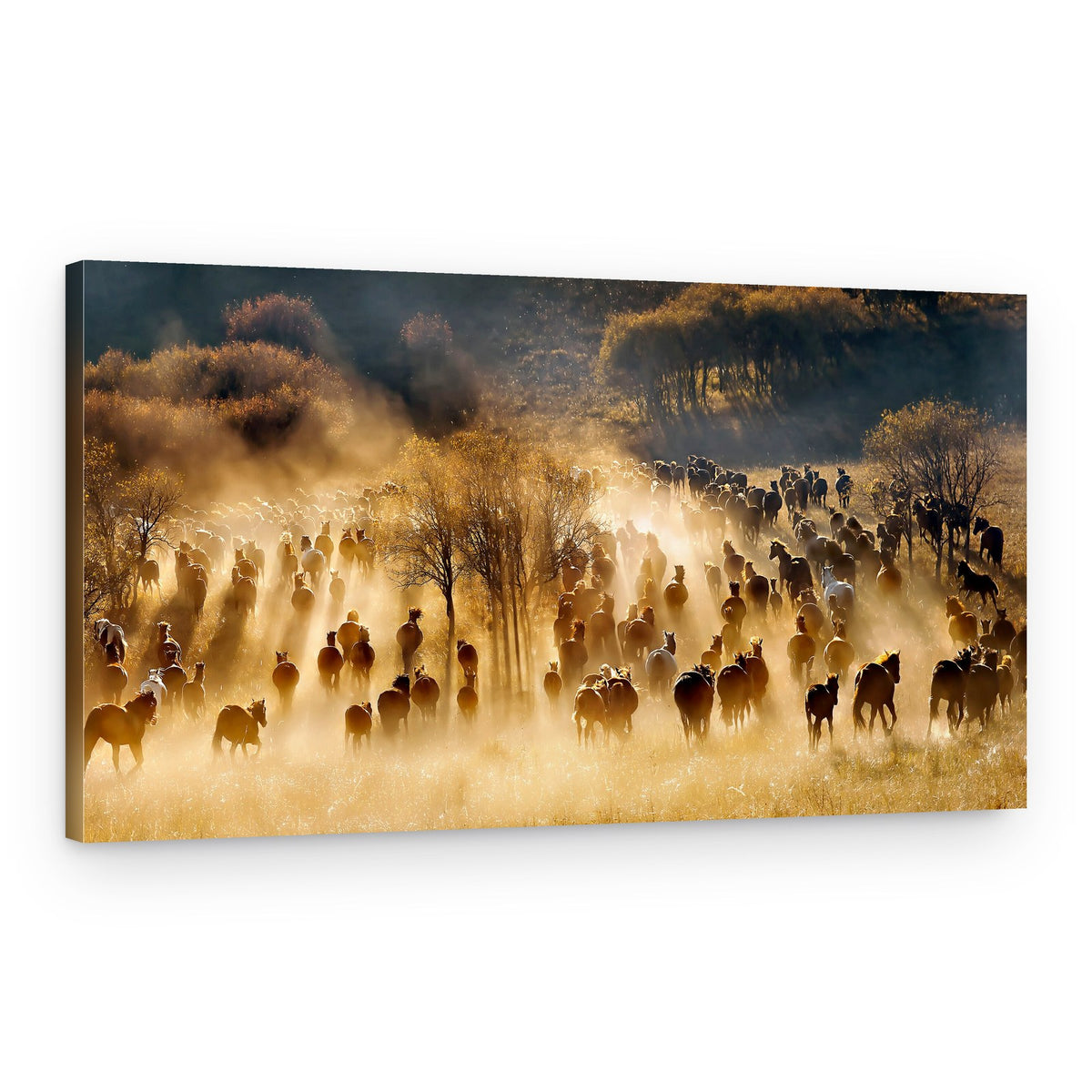 Golden Horse Stampede – Canvas Print
