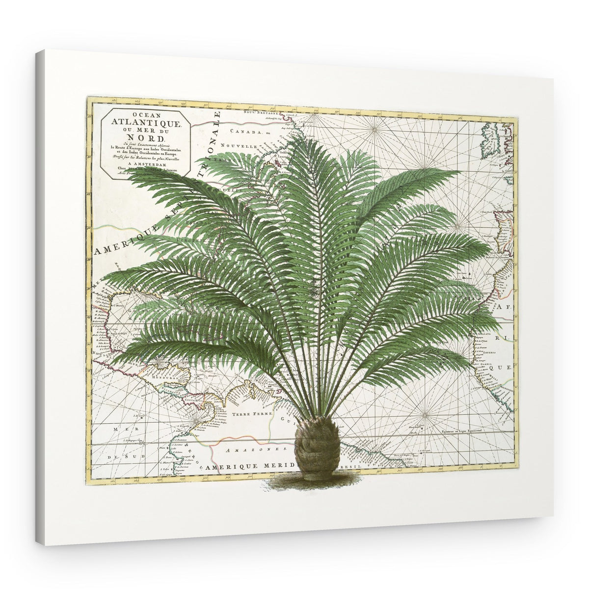 Vintage Palm Atlas – Canvas Print