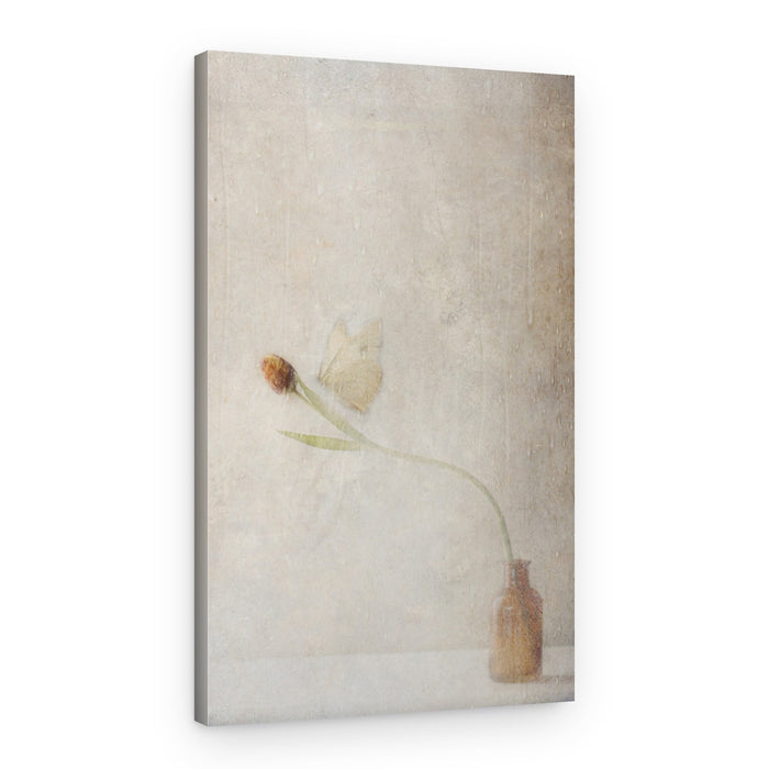 Fading Tulip Still Life – Canvas Print